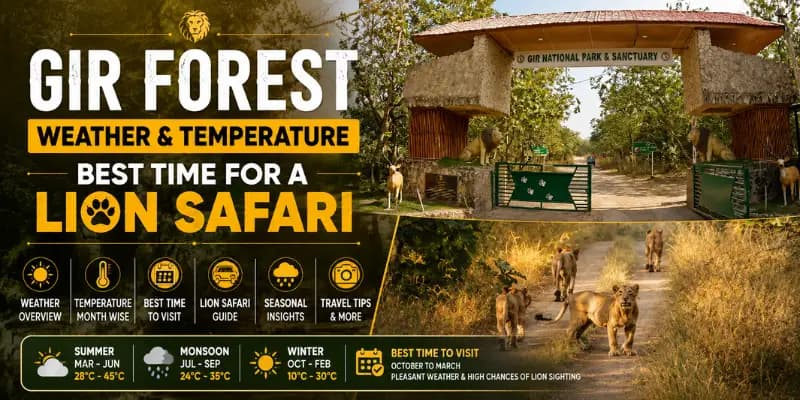 Gir Forest Weather & Temperature