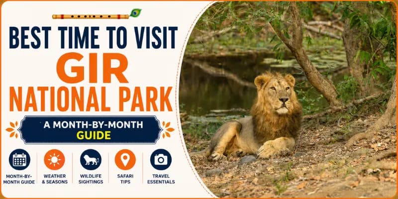 Best Time to Visit Gir National Park