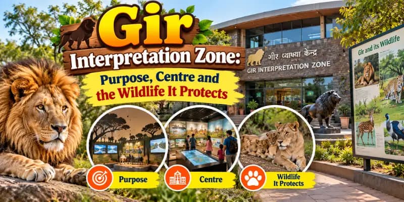 Gir Interpretation Zone