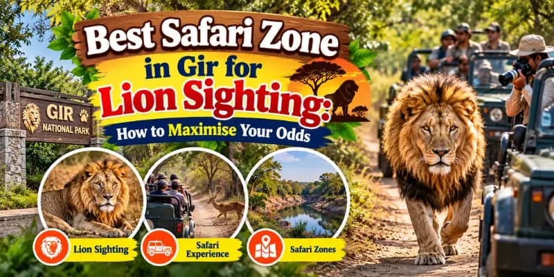 Best Safari Zone in Gir for Lion Sighting
