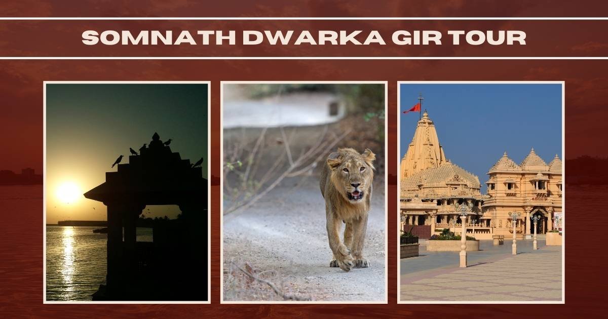Somnath Dwarka Gir Tour