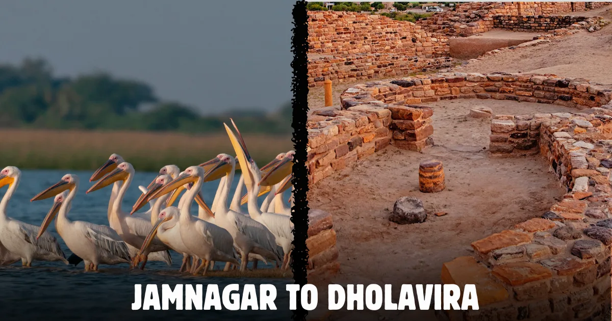 Jamnagar to Dholavira