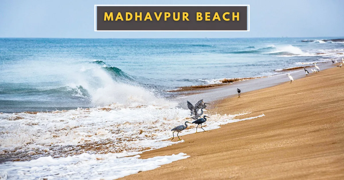 Madhavpur Beach to Somnath Distance