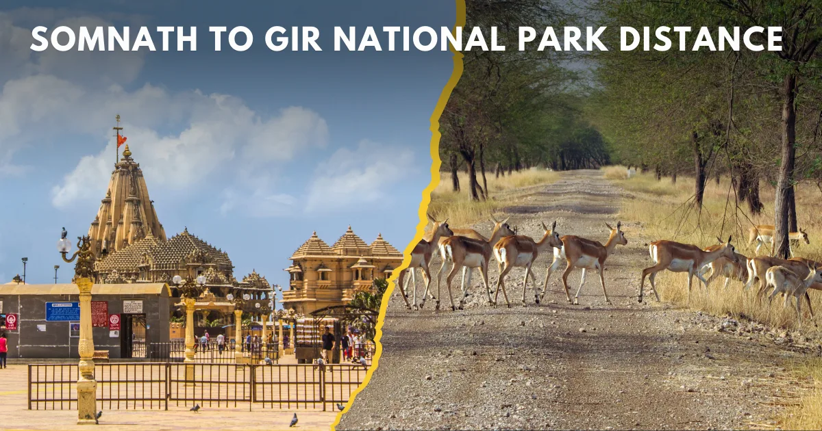 Somnath to Gir National Park Distance