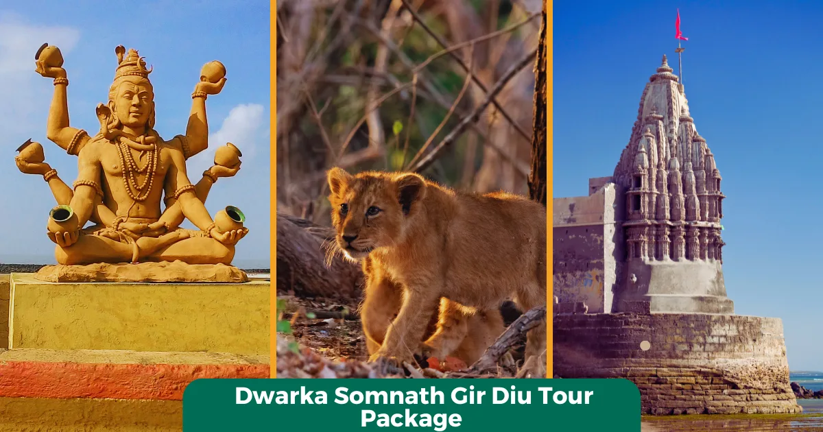 Dwarka Somnath Gir Diu Tour Package