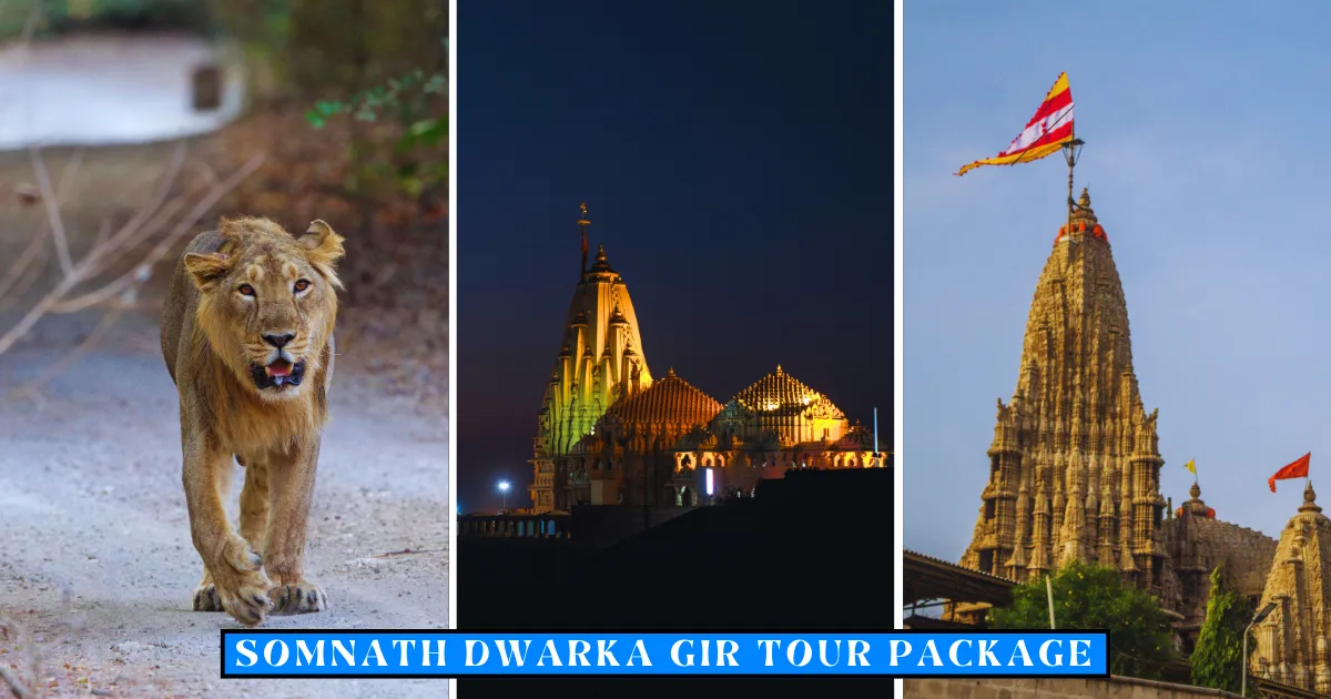 Somnath Dwarka Gir Tour Package