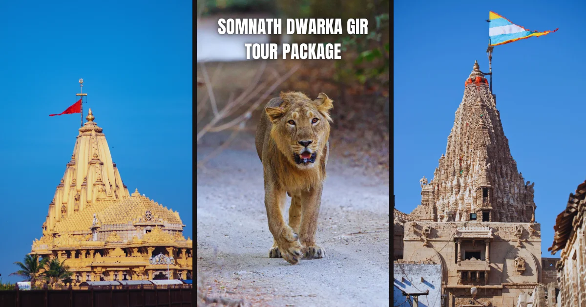 Somnath Dwarka Gir Tour Package