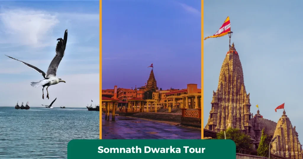 Somnath Dwarka Tour