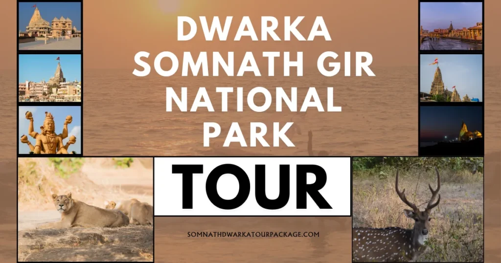 Dwarka Somnath Gir National Park Tour