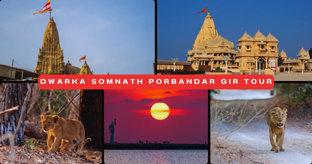 Dwarka Somnath Porbandar Gir Tour