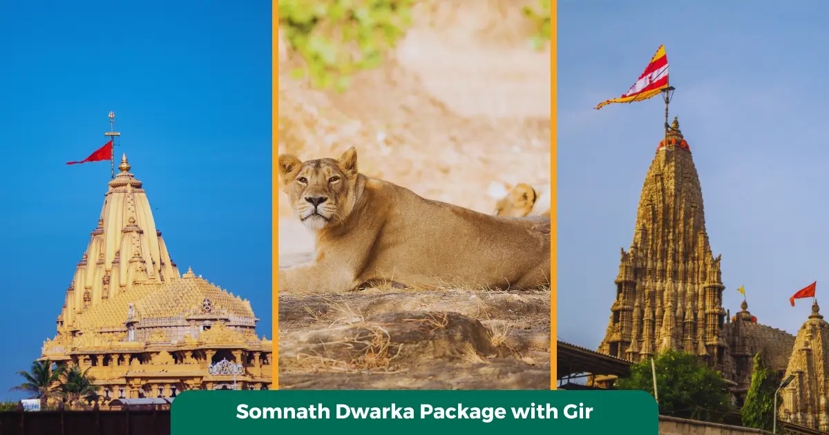 Somnath Dwarka Package with Gir