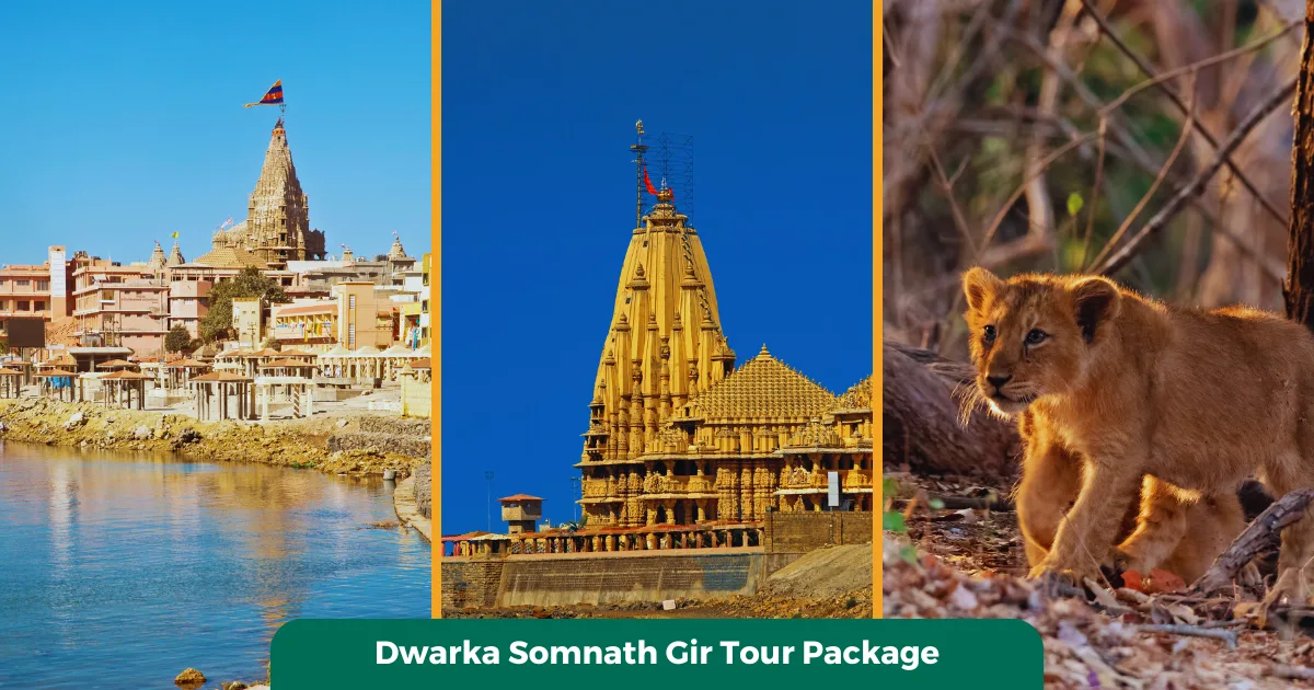 Dwarka Somnath Gir Tour Package