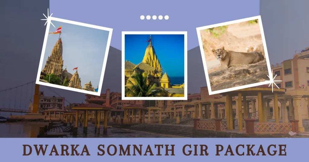 Dwarka Somnath Gir Package